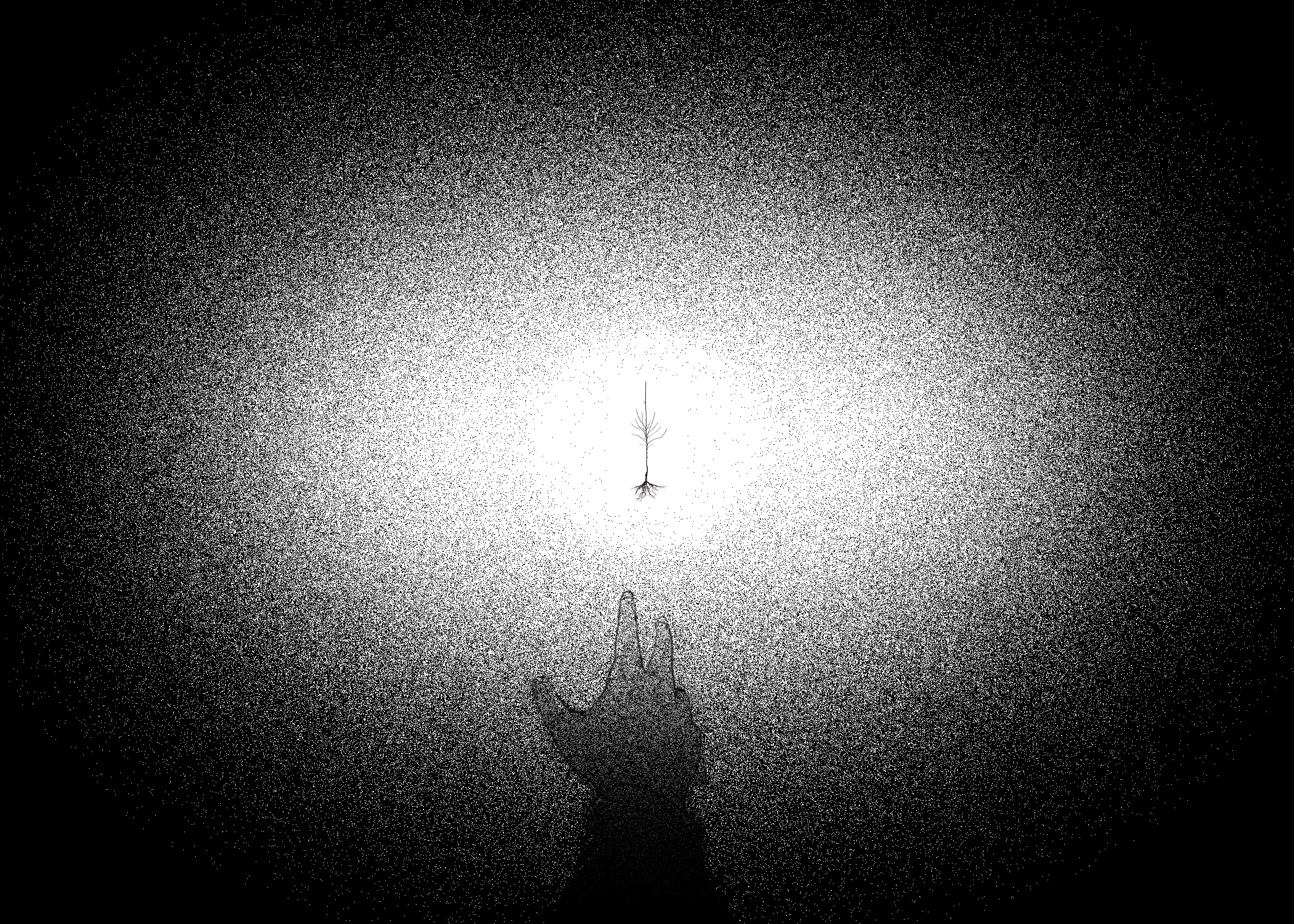 Reach 2023